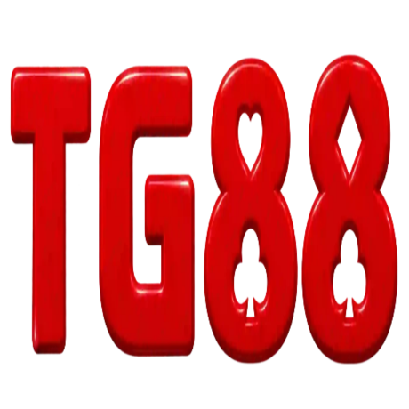 tg884 top